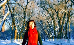 老狼信息网仙踪林 - 八零婚纱摄影工作室